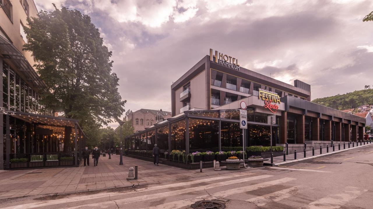 Hammeum Hotel Prokuplje Εξωτερικό φωτογραφία